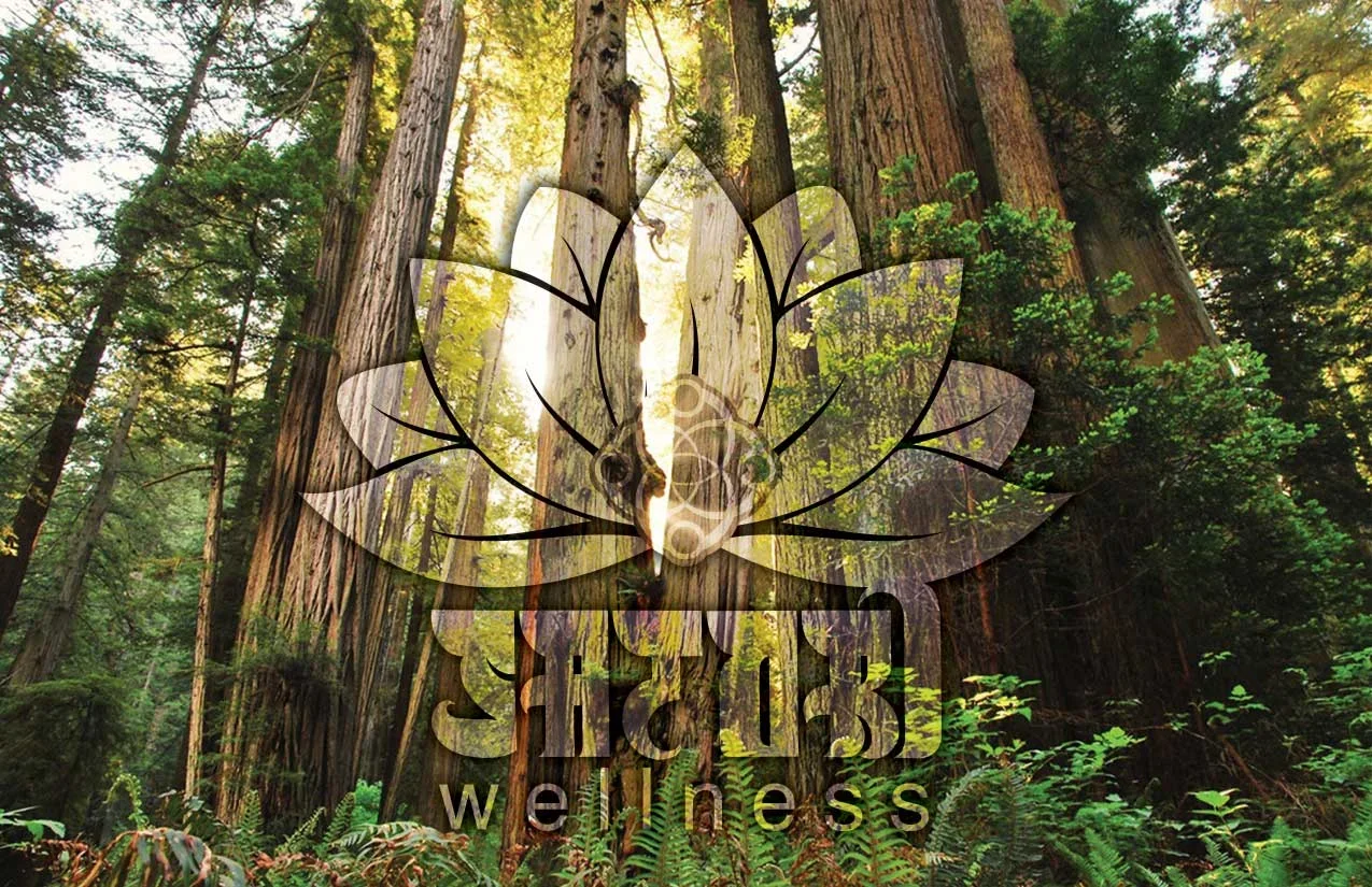 The Pairist at Satori Wellness in McKinleyville This 420 BOGO Deal
