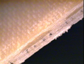 fiberglass cut to show cross section.jpg