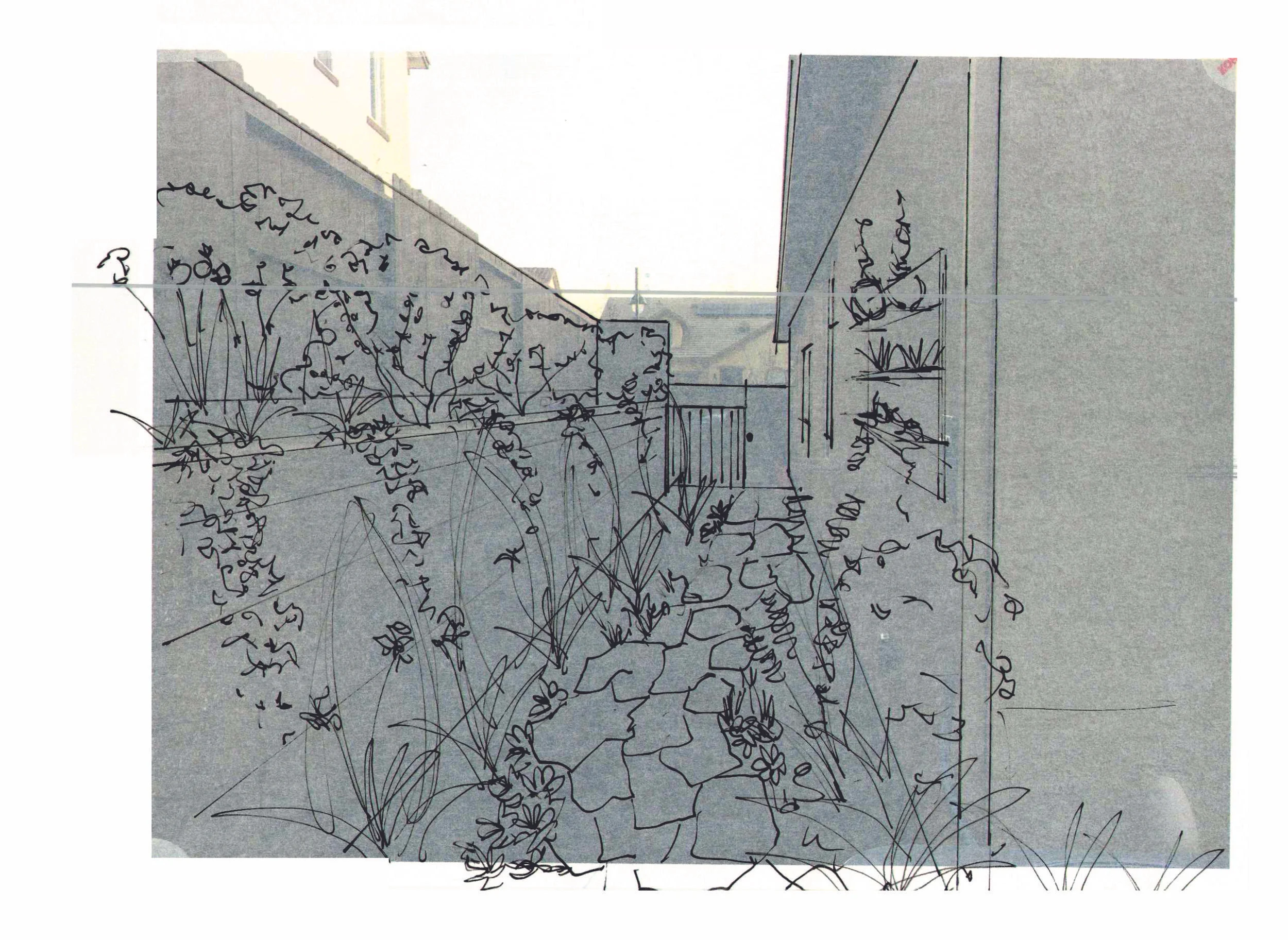 sketches-3.jpg