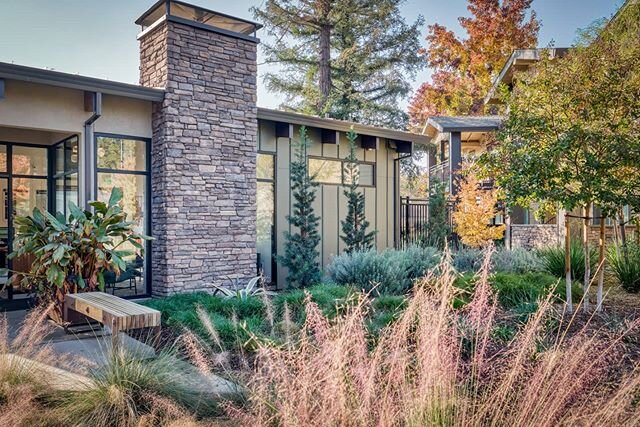 Major throwback, this was one of my best planting designs. That Pink Muhly is one of my favorites. One thing I've learned throughout my career is you have to wing it sometimes and try new planting schemes. Also, having a great team helps! @optimaland