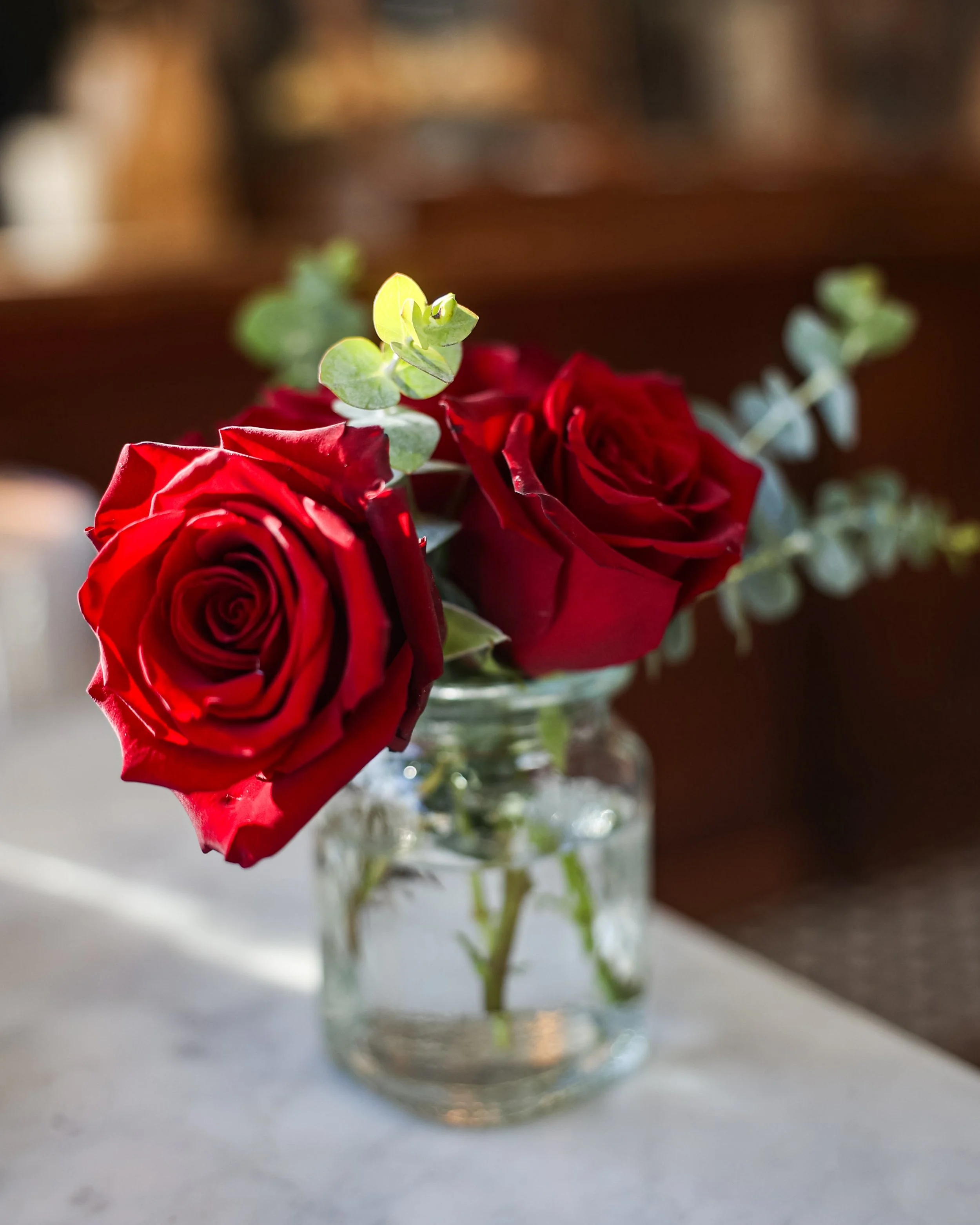 Photo Feb 02 2026, 11 17 52 AM.jpg