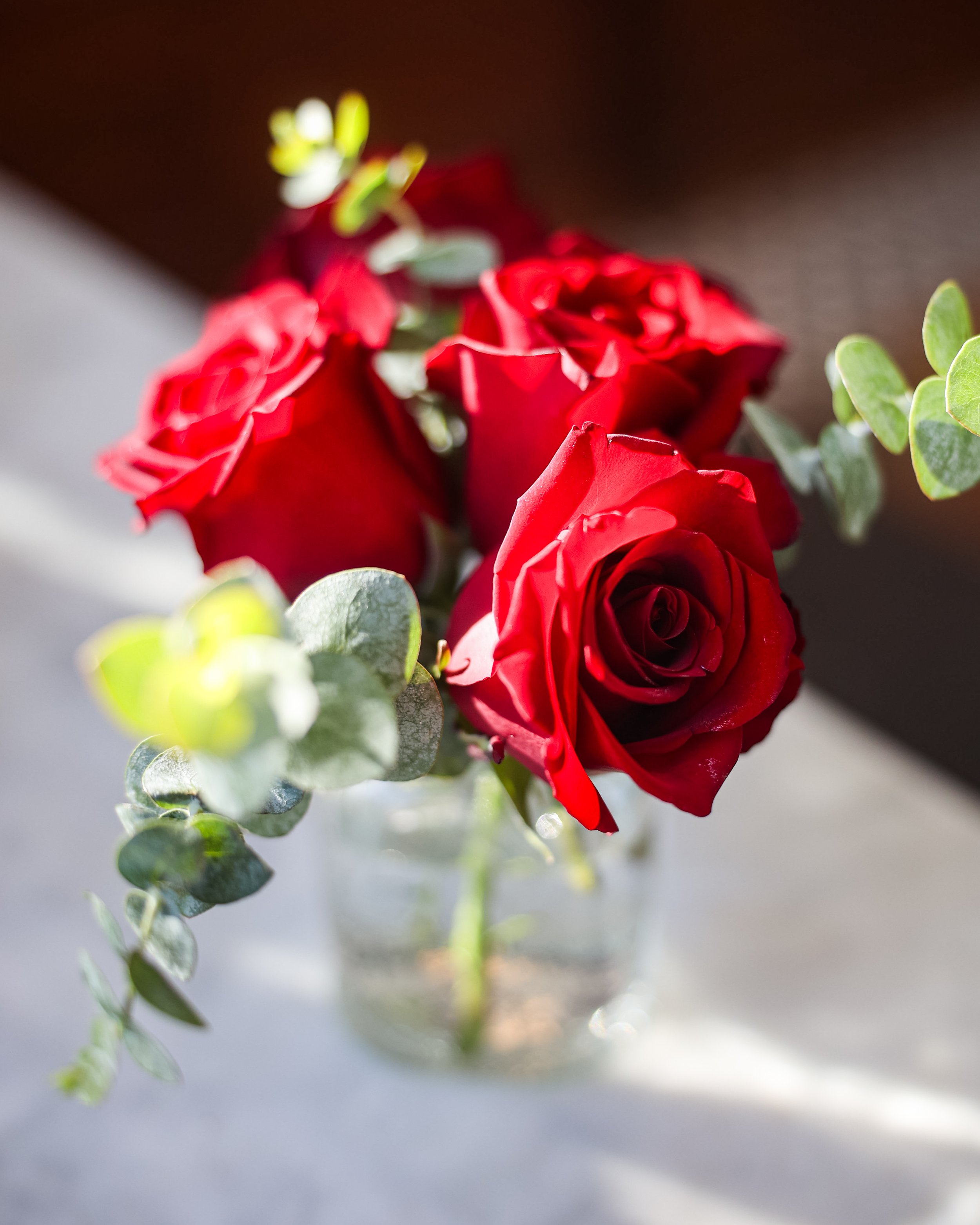 Photo Feb 02 2026, 11 17 33 AM.jpg