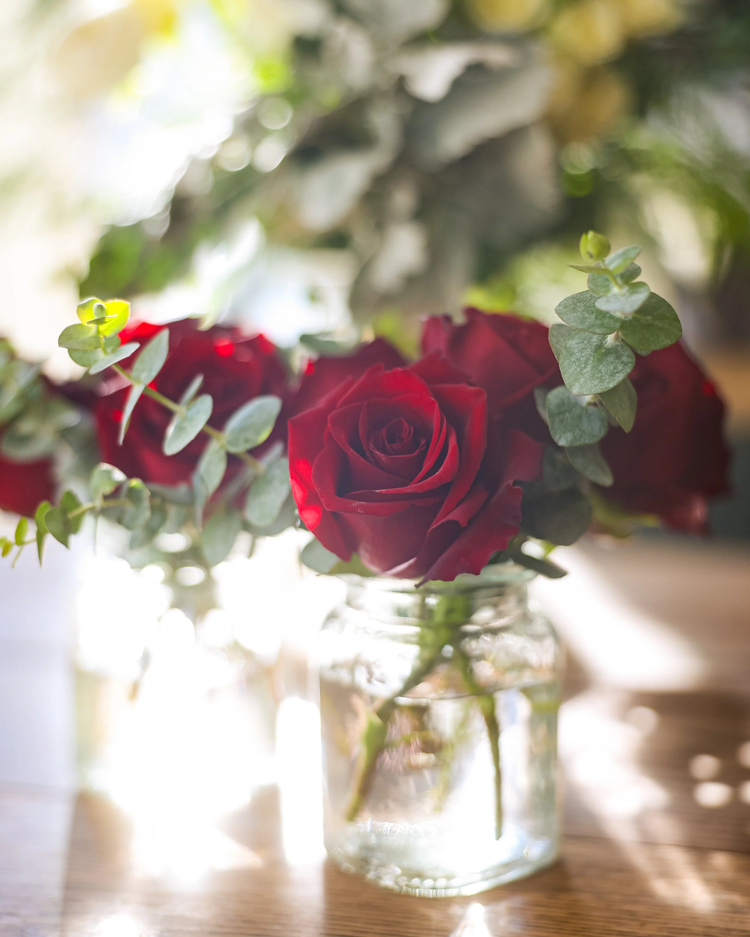 Photo Feb 02 2026, 11 15 48 AM.jpg