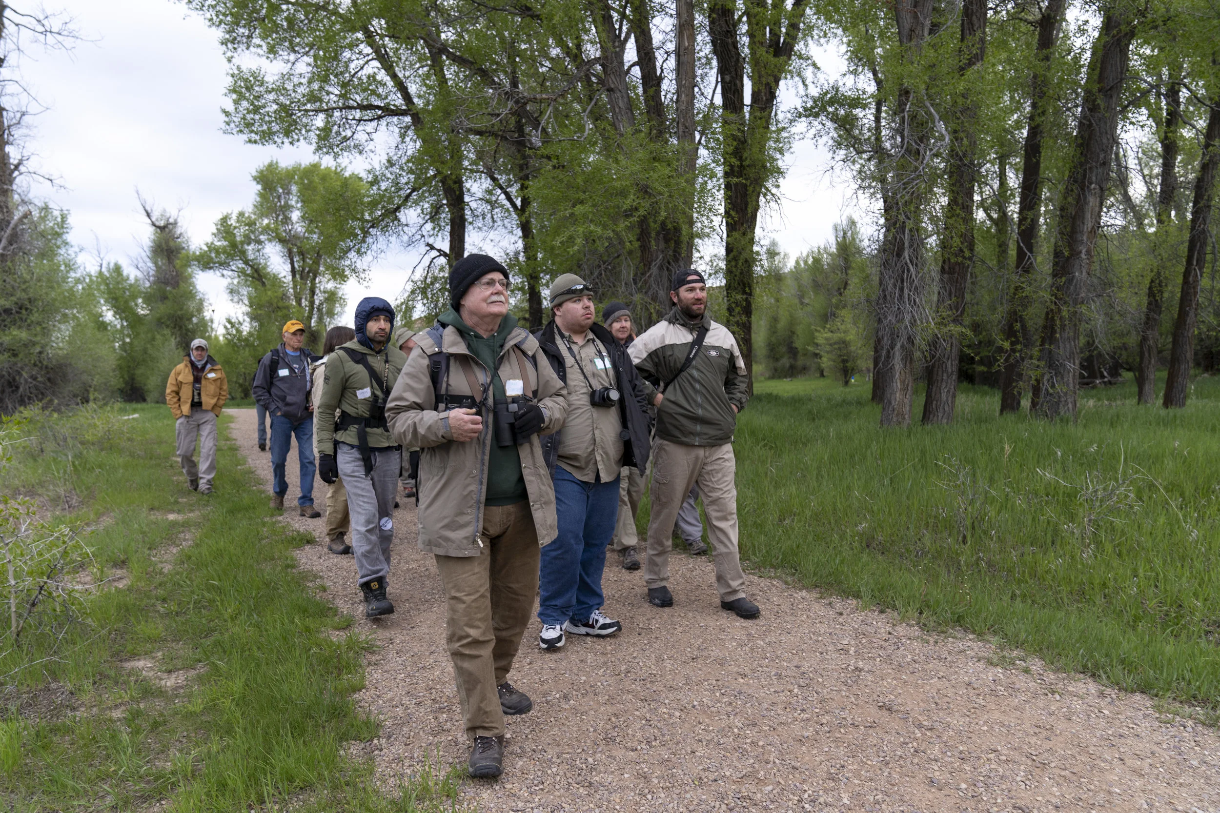 Bird Walk: Silver Lake Regional Park, Haymarket, VA