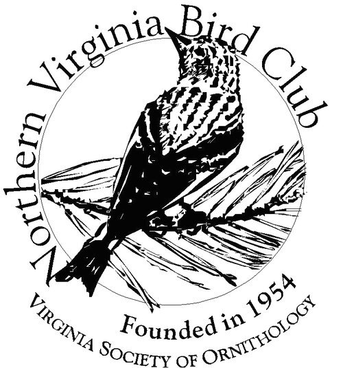 Northern Virginia Bird Club