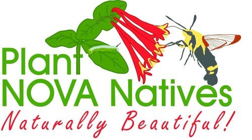 Plant NOVA Natives