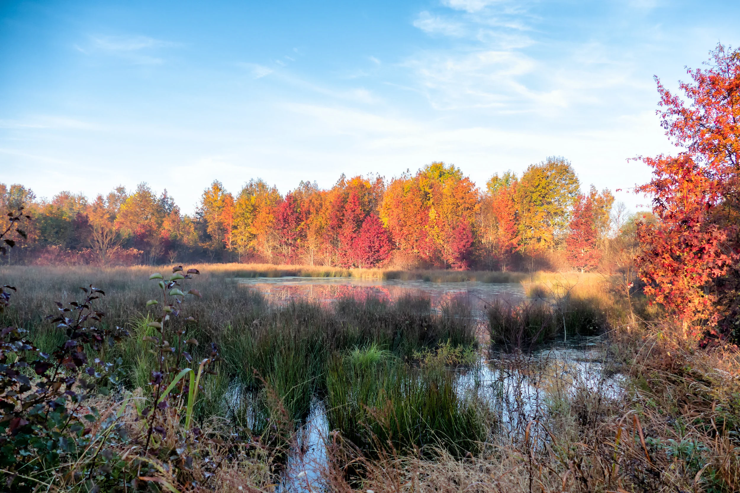 Survey: Occoquan Bay NWR Natural Resources