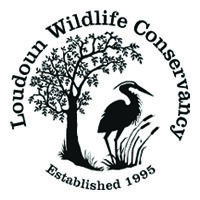loudoun-wildlife-conservany.jpg