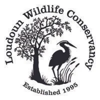 loudoun-wildlife-conservany.jpg