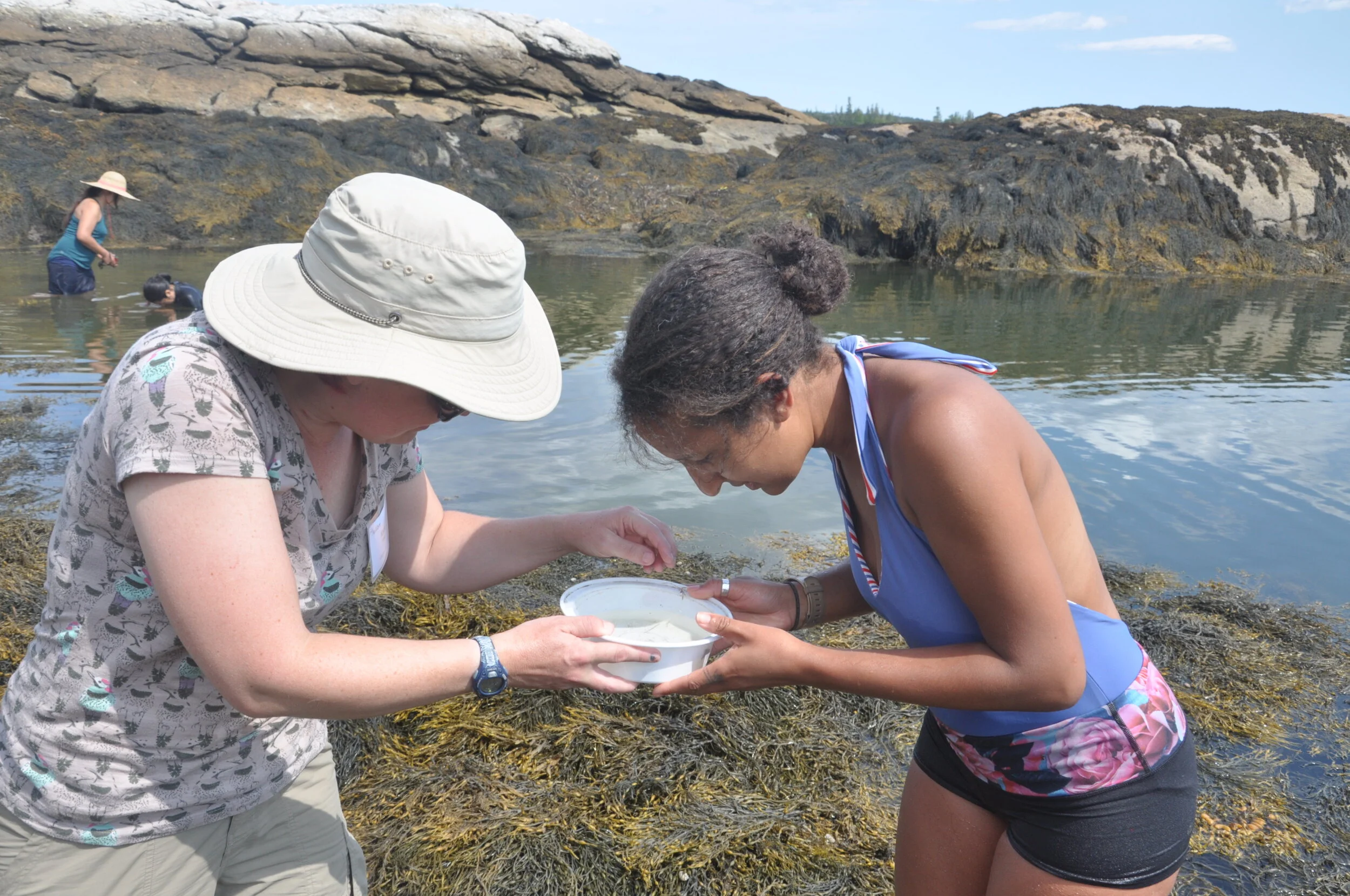 2020 Hog Island Scholarship Winner – Phoebe Riegle