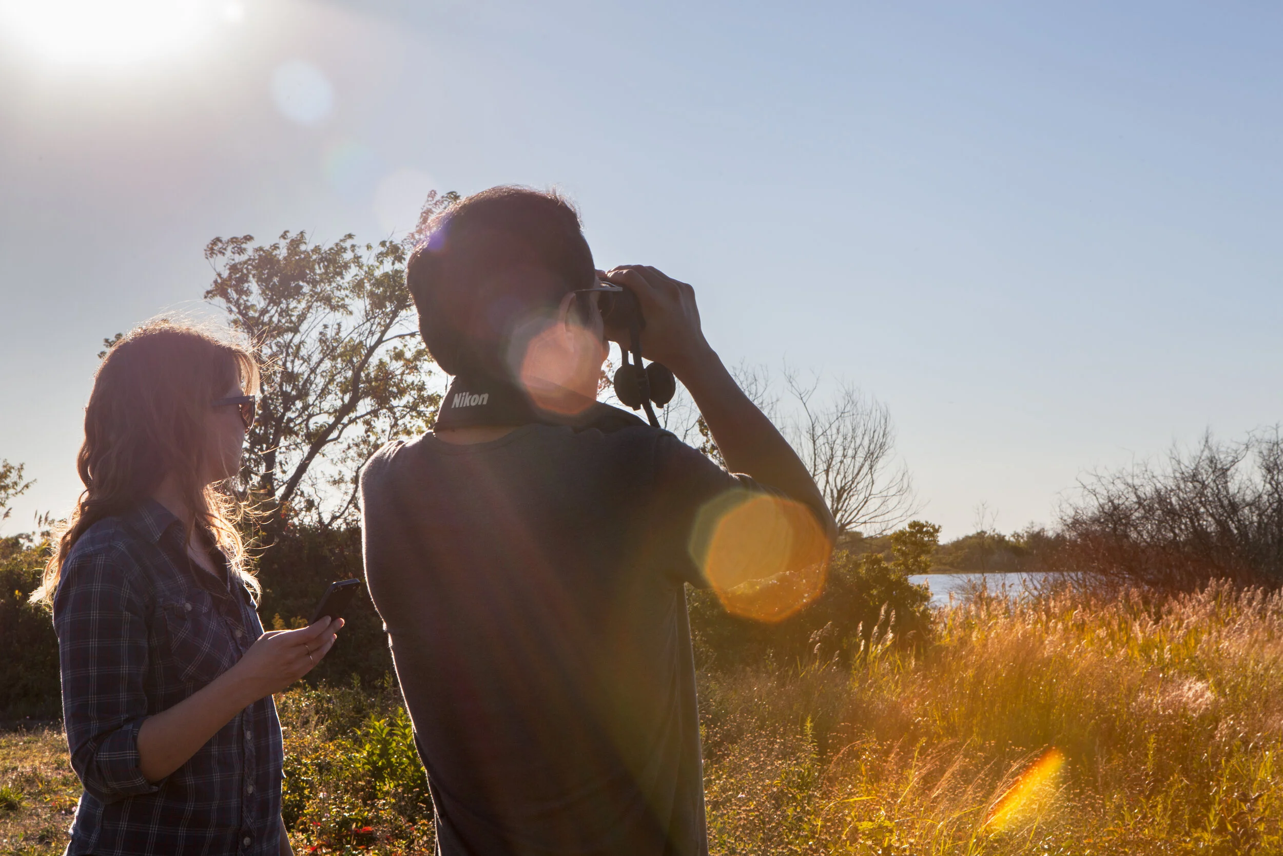 Bird Walk: Southern Fairfax County