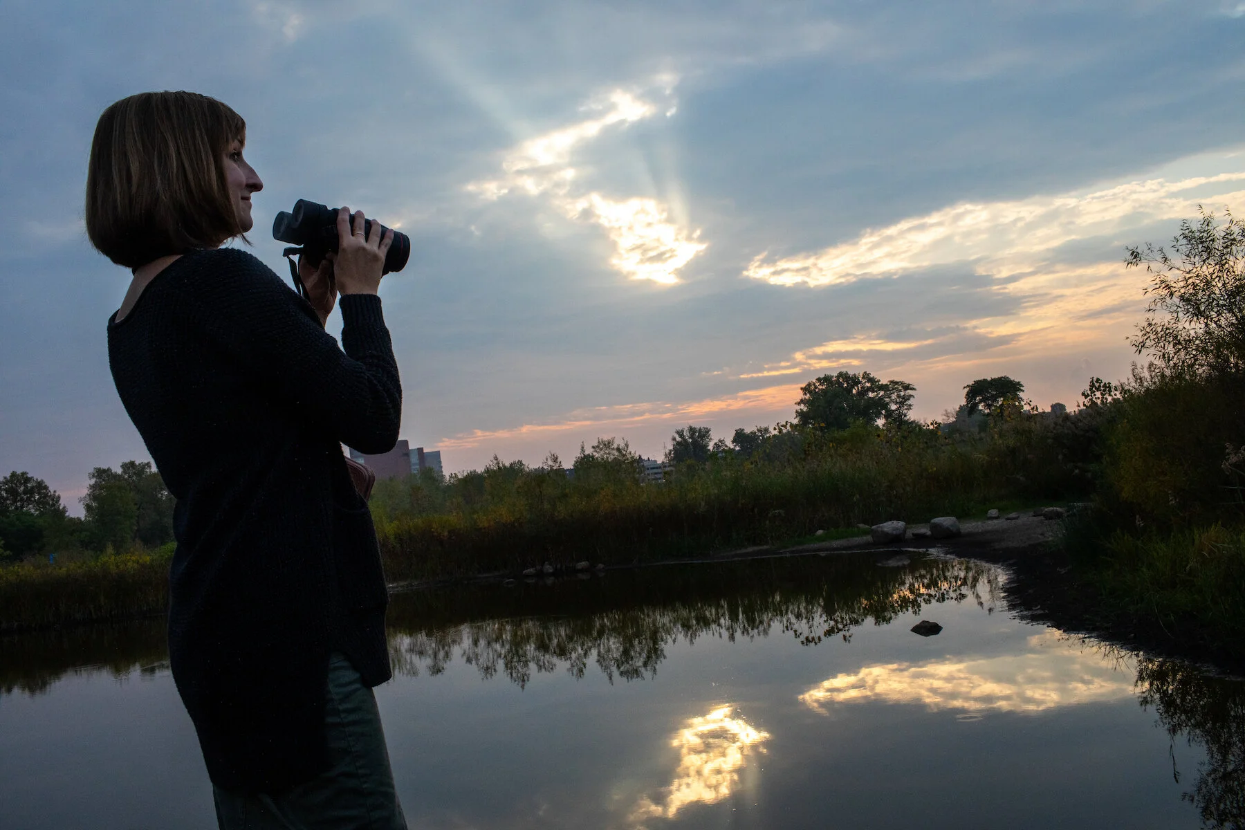 Bird Walk: Reston Area