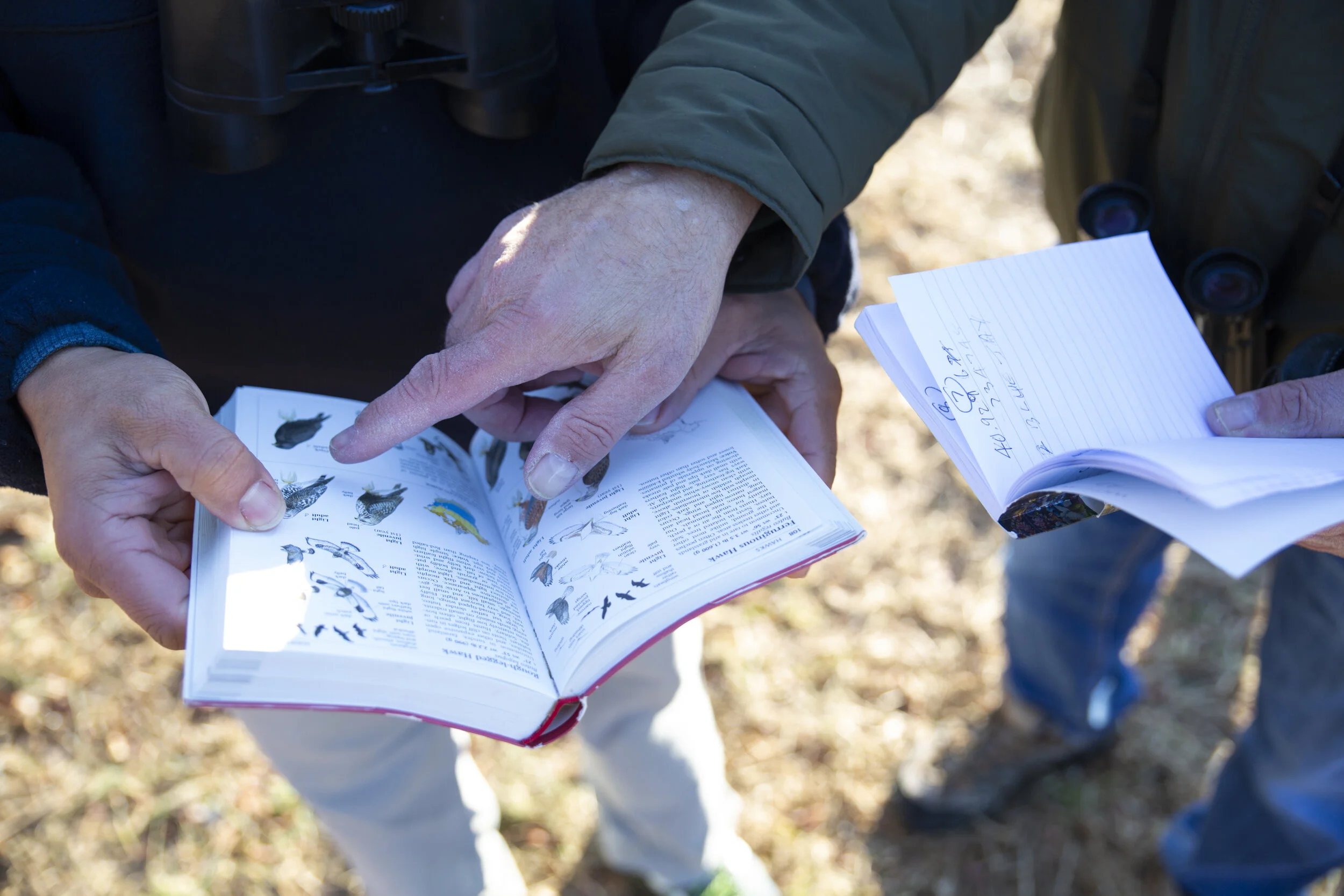 Bird Walk: Northern Prince William County