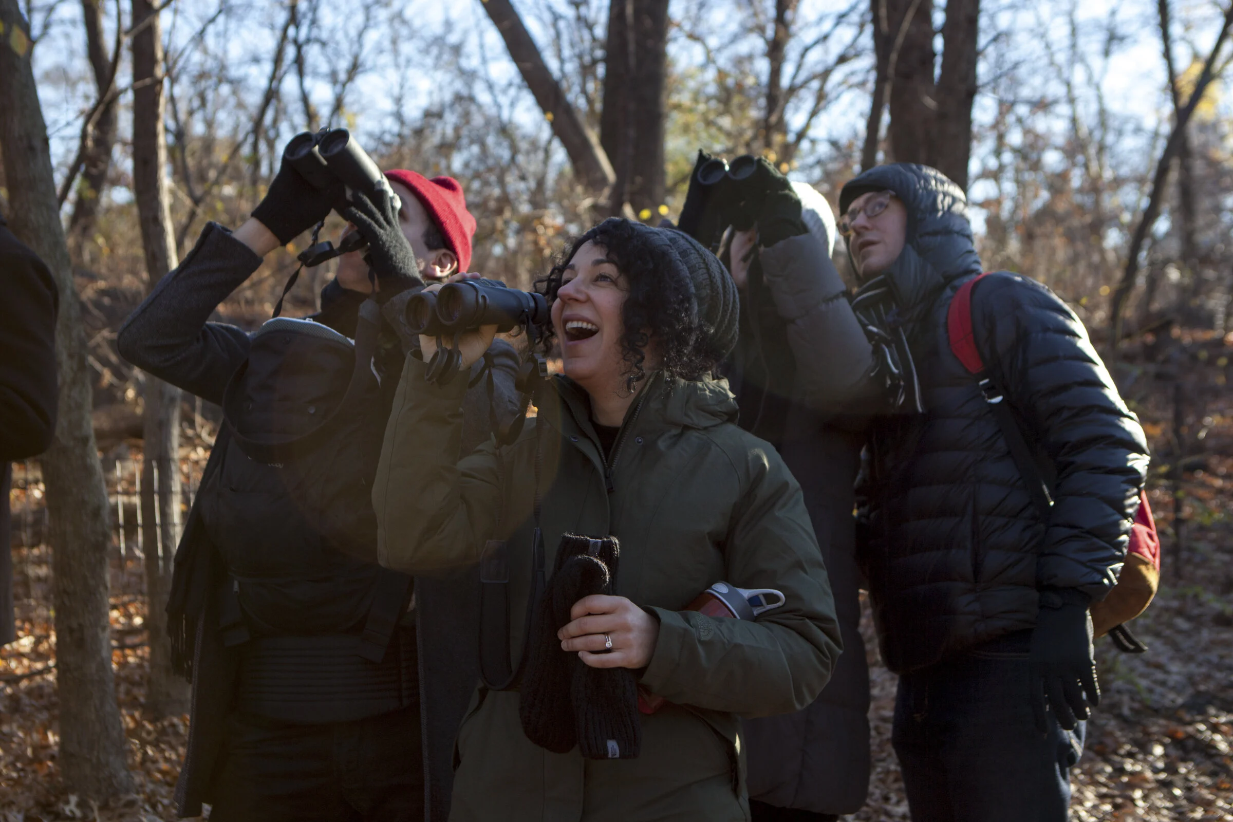 Manassas - Bull Run Christmas Bird Count Celebration and Summary