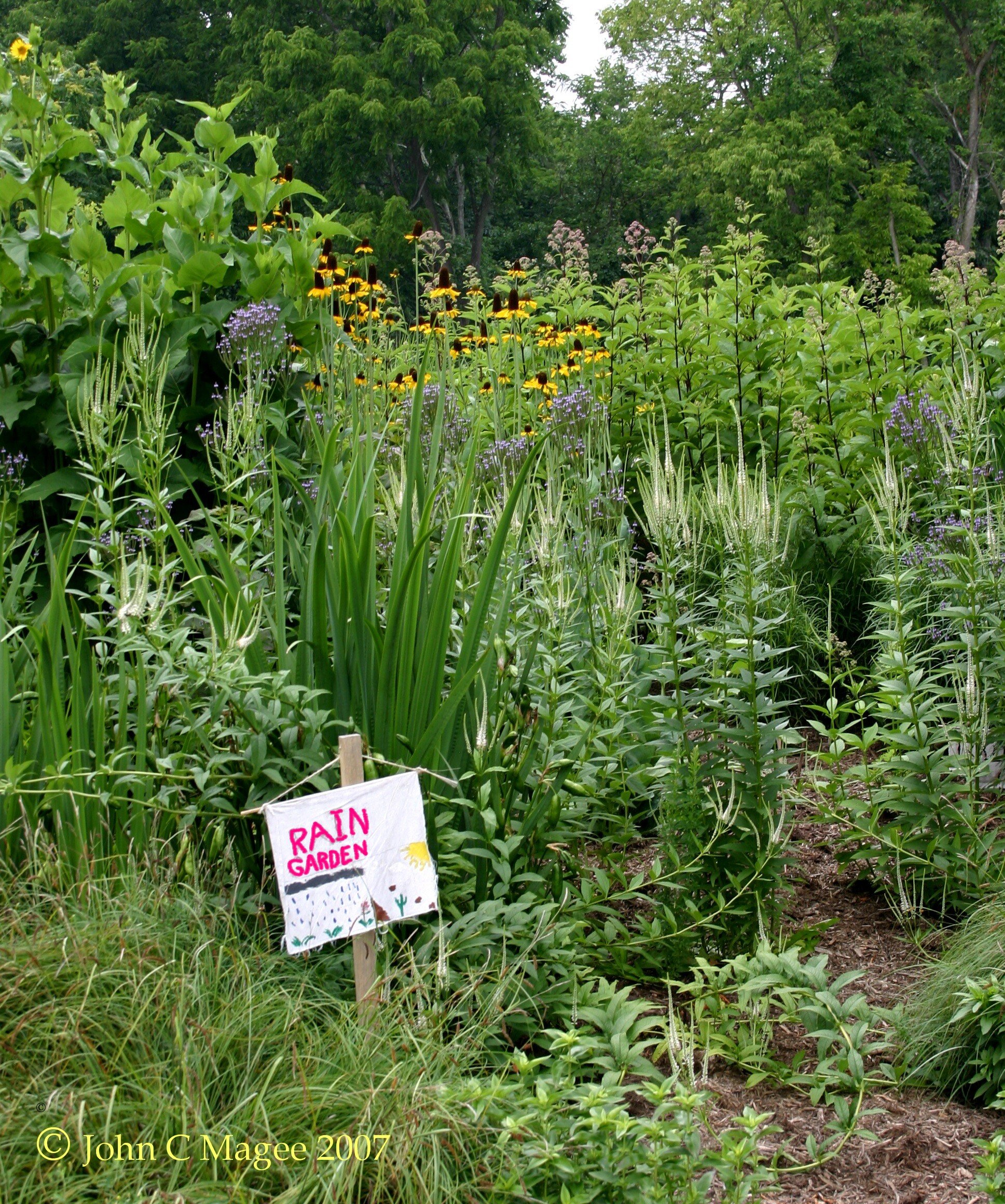 Audubon Afternoon: Native Landscape Design with John Magee
