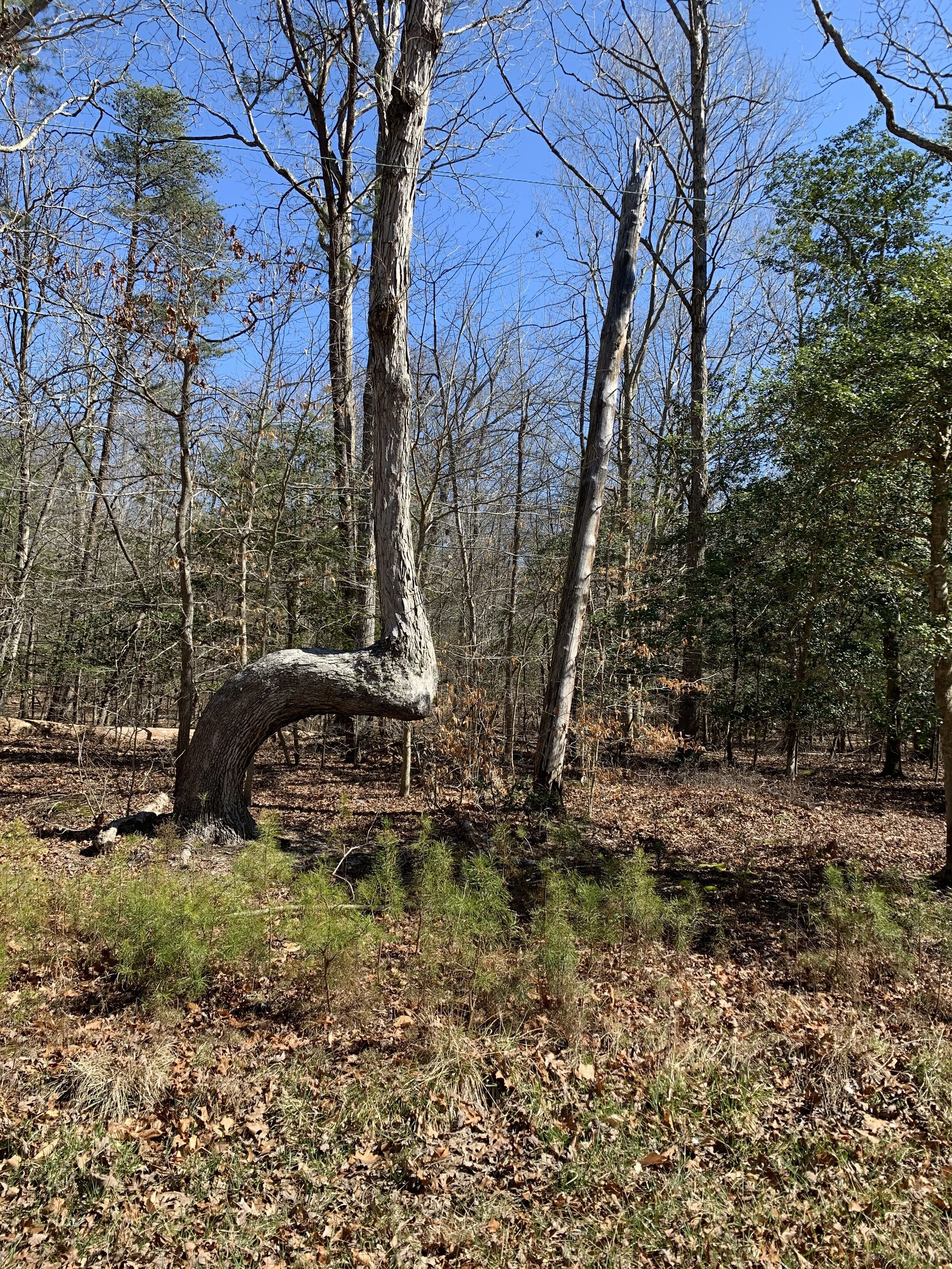 Monday Mystery - March 29, 2021