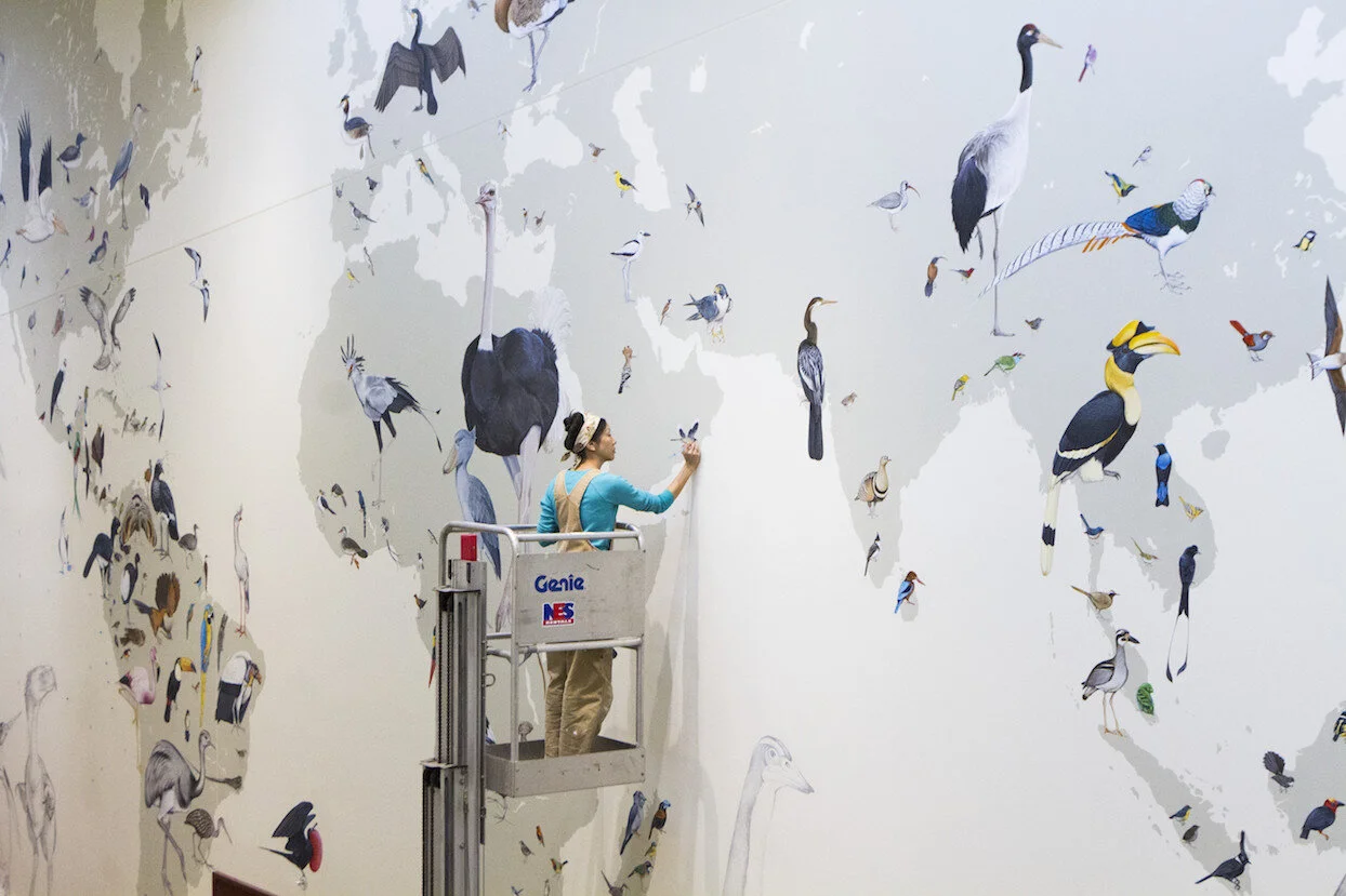 Art, Wonder and the Natural World with Jane Kim