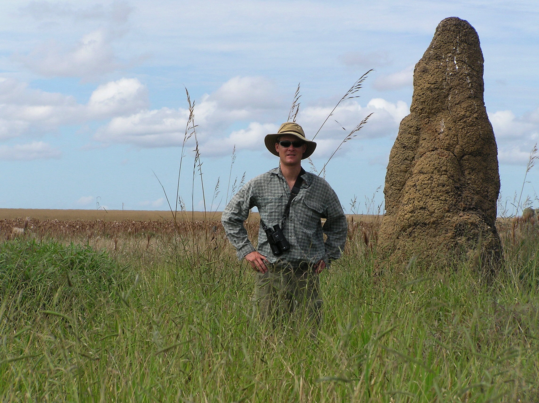 Audubon Afternoon: Birds and Urban Noise with Dr. David Luther