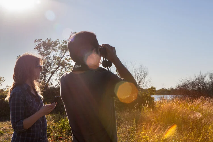 Bird Walk: Reston Area with Robin Duska