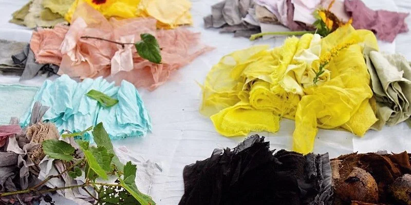 Botanical Dyeing using Native Plants with Sasha Duerr