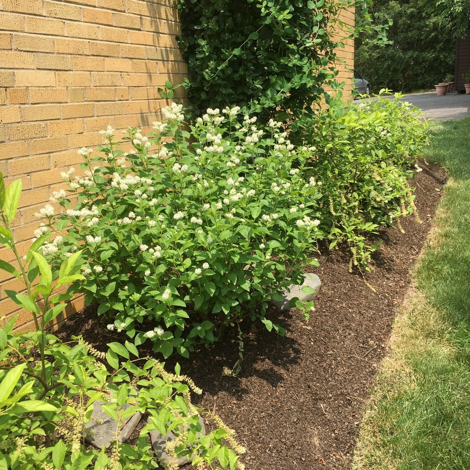 Dominion Grants to Beautify Neighborhood Entrances with Native Plants