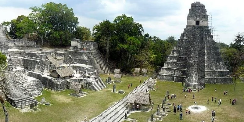 Belize and Guatemala | Neotropical Birds and Mayan Ruins