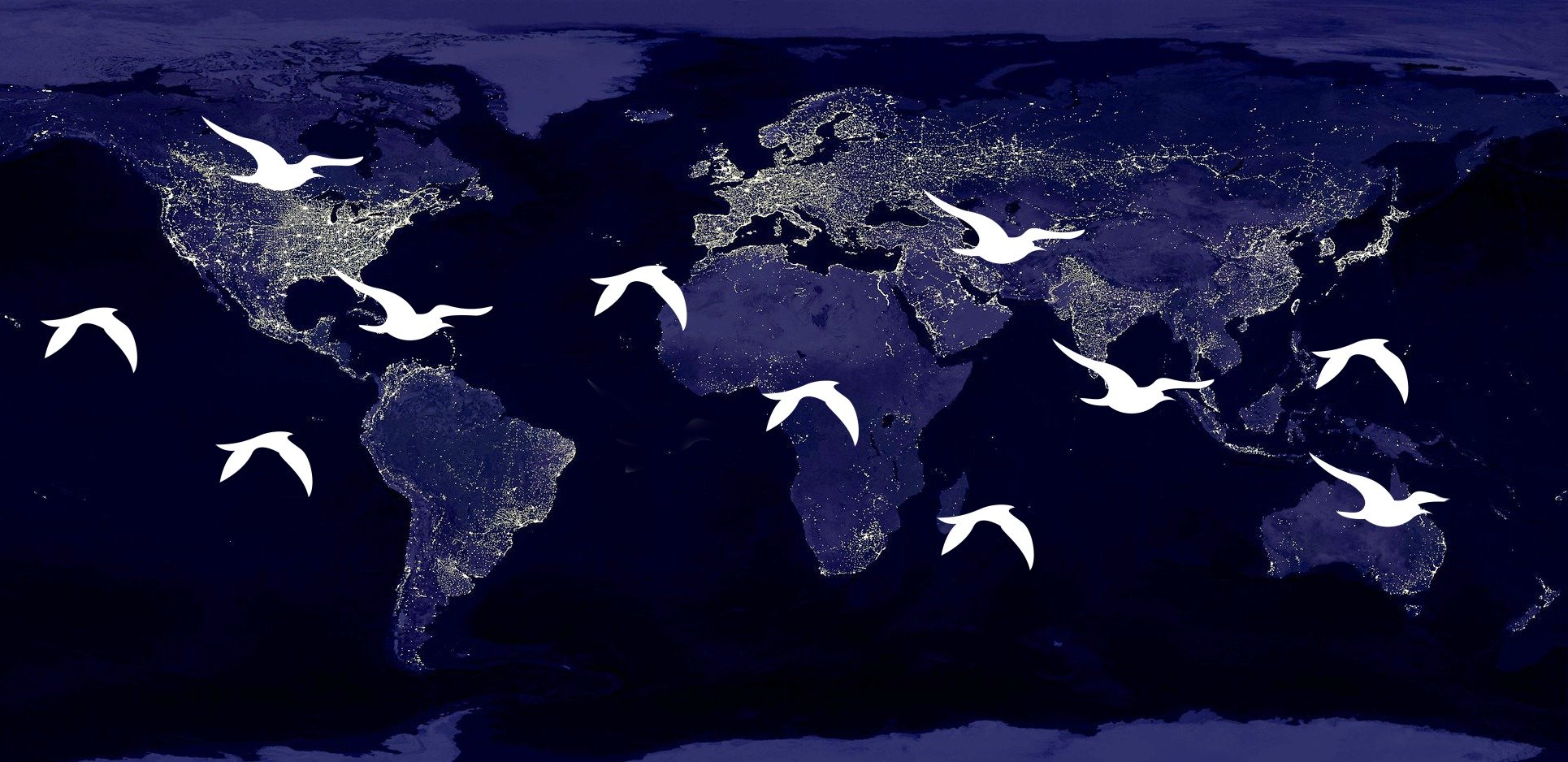 Lights for Birds: World Migratory Bird Workshop — Audubon Society of Northern Virginia