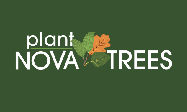 Plant NoVA Trees