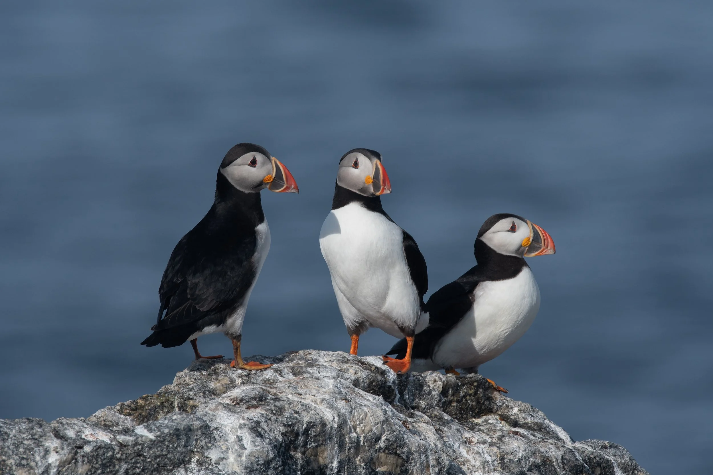 Apply Now for the 2025 Educator Scholarship