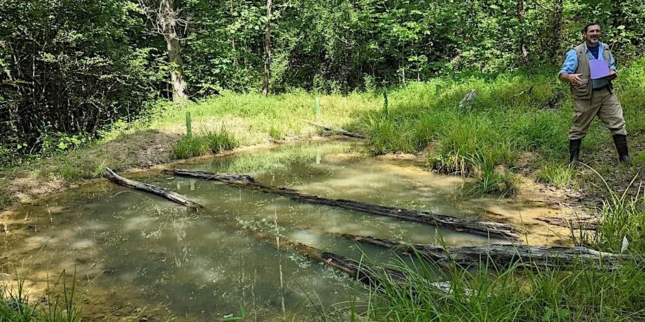 Vernal Pool Wildlife with Michael Hayslett