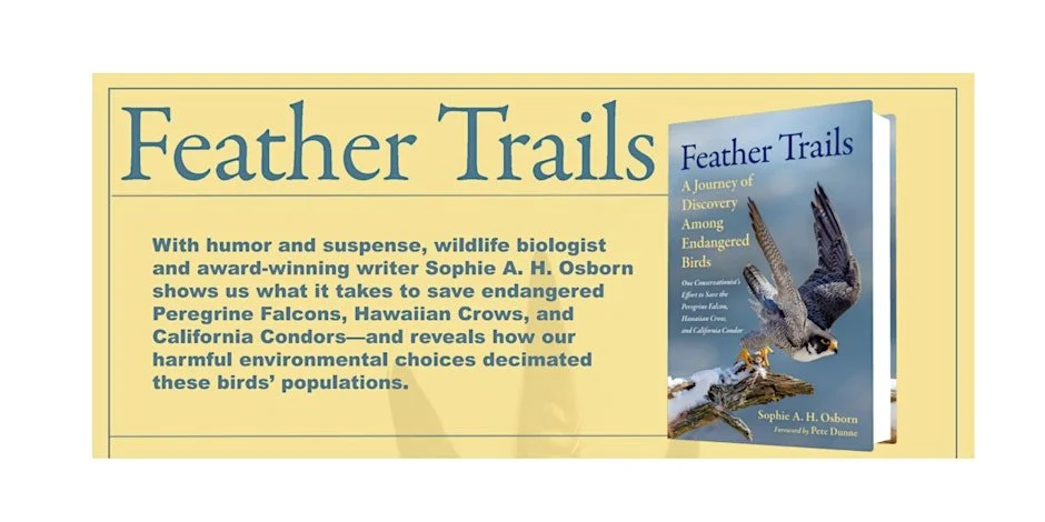 Feather Trails: A Journey of Discovery Among Endangered Birds
