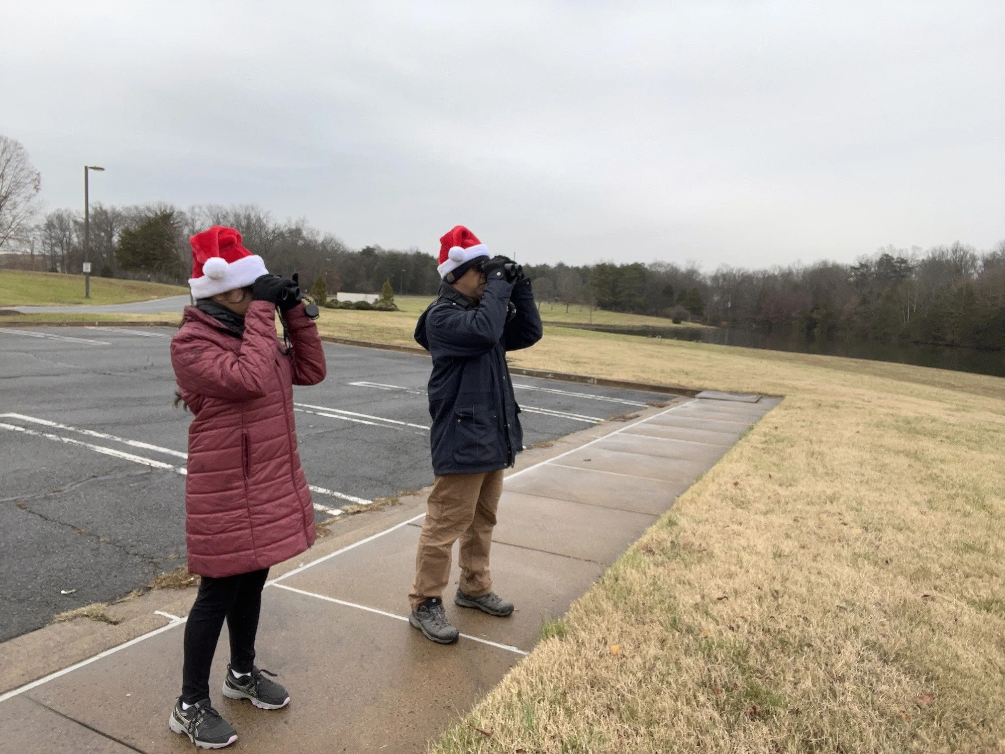 Results of the 2024 Manassas-Bull Run Christmas Bird Count 