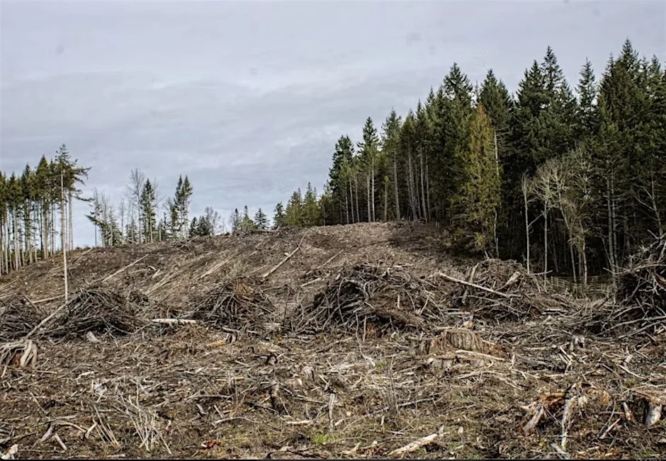Virtual Lunchtime Comment Writing Party to Protect Endangered Species