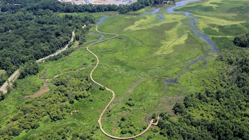 NextGen Photography Bird Walk: Neabsco Creek Boardwalk