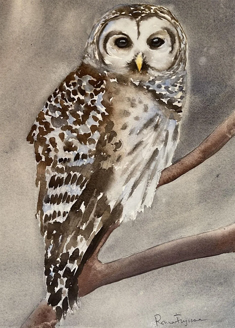 Birds in Watercolor: Barred Owl with Ronna Fujisawa