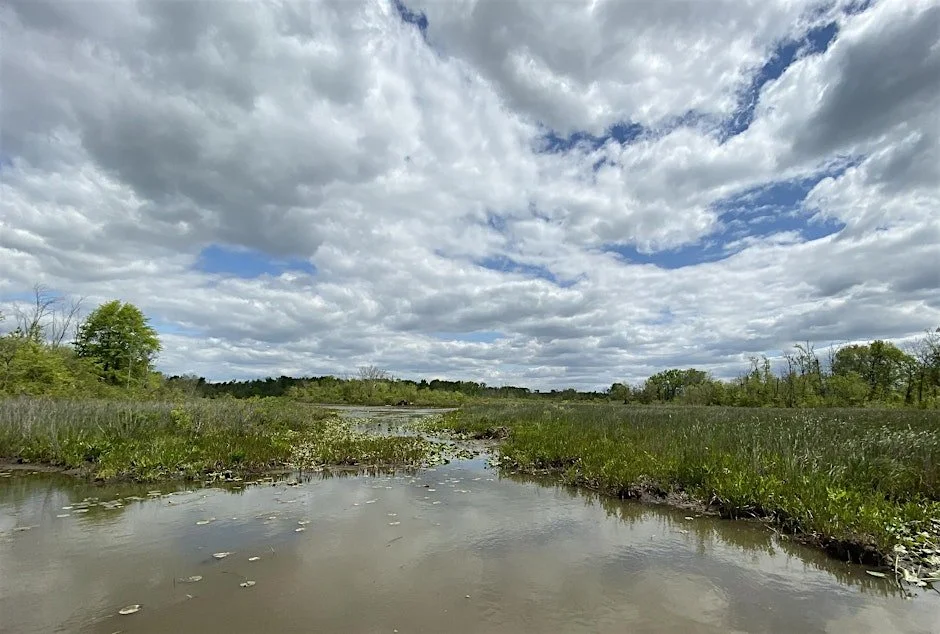 Occoquan Bay National Wildlife Refuge, Judy Gallagher