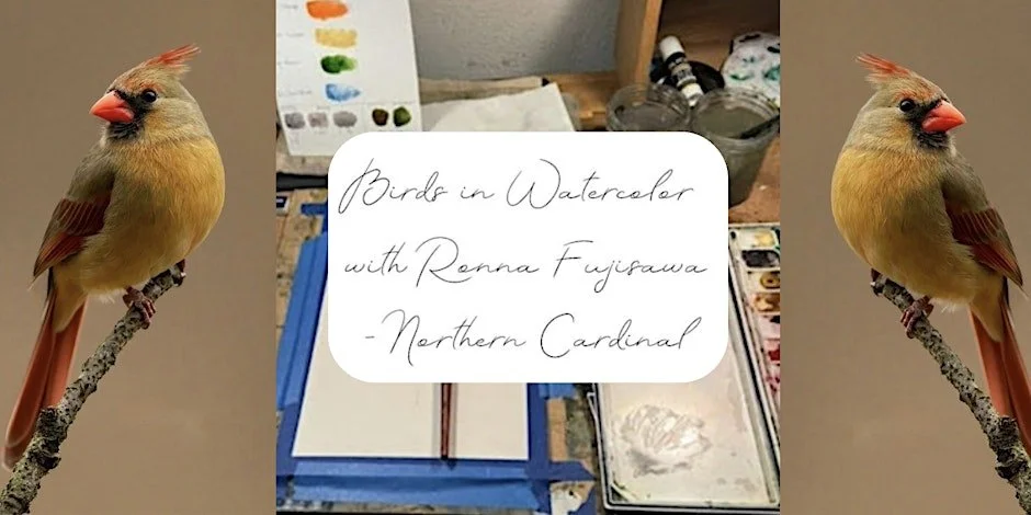 Birds in Watercolor: Female Northern Cardinal with Ronna Fujisawa