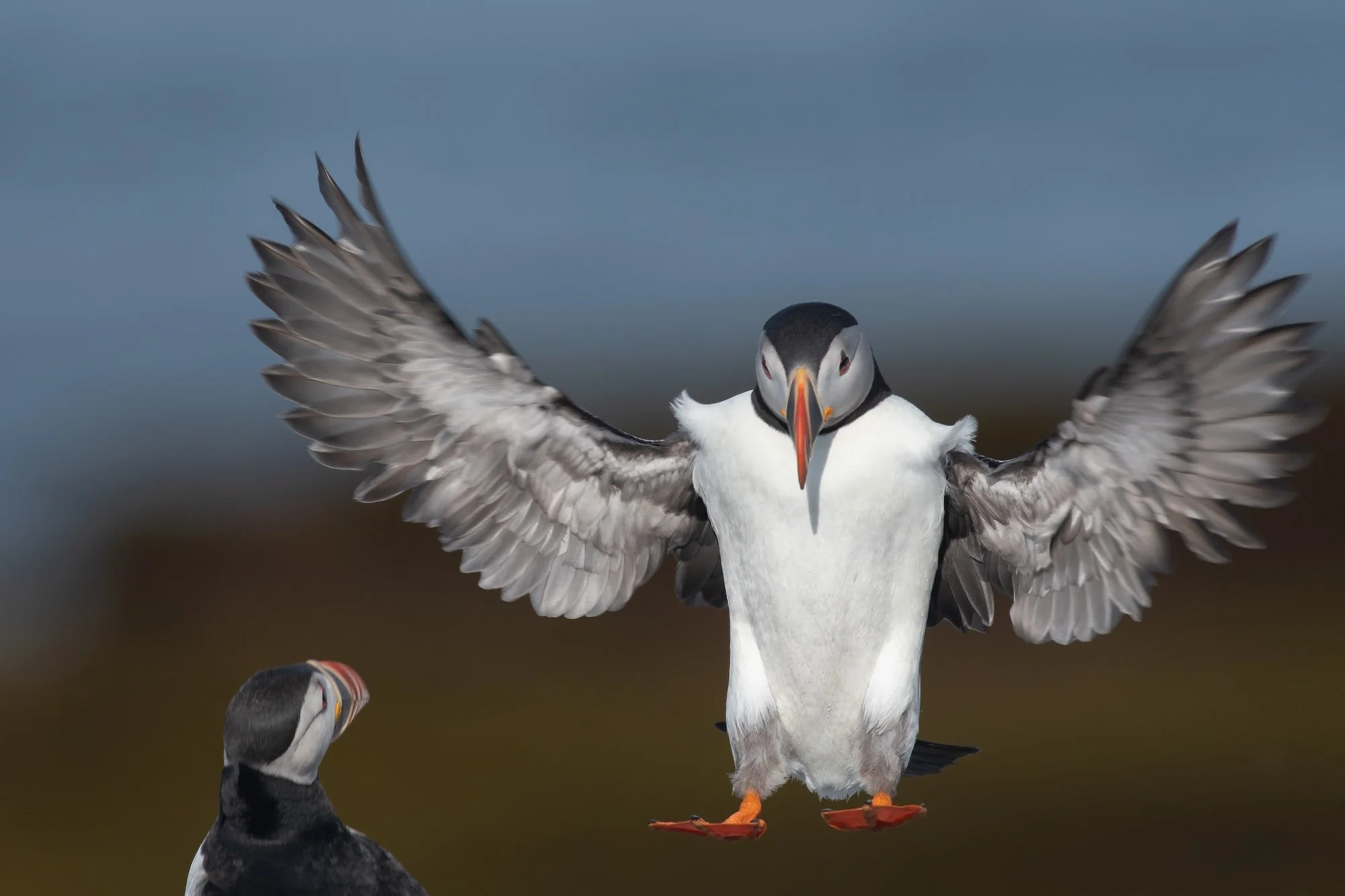 Our 2026 Scholarship Winner