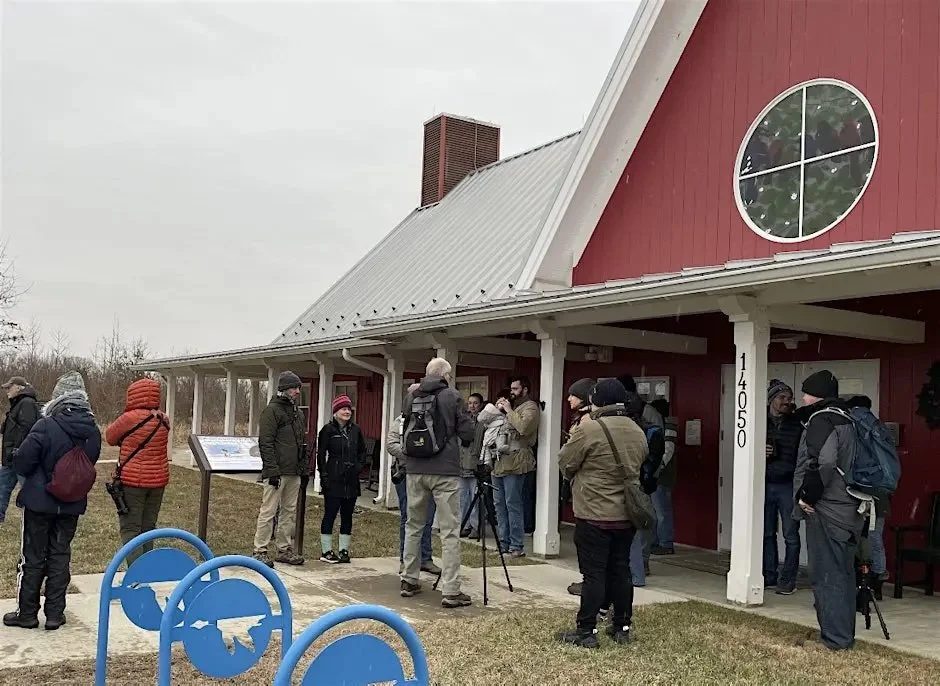 Beginner Birding at Occoquan Bay National Wildlife Refuge