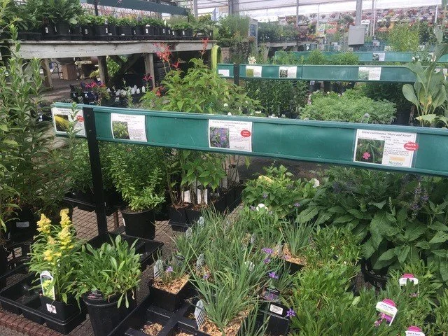 Judging a Plant by its Label