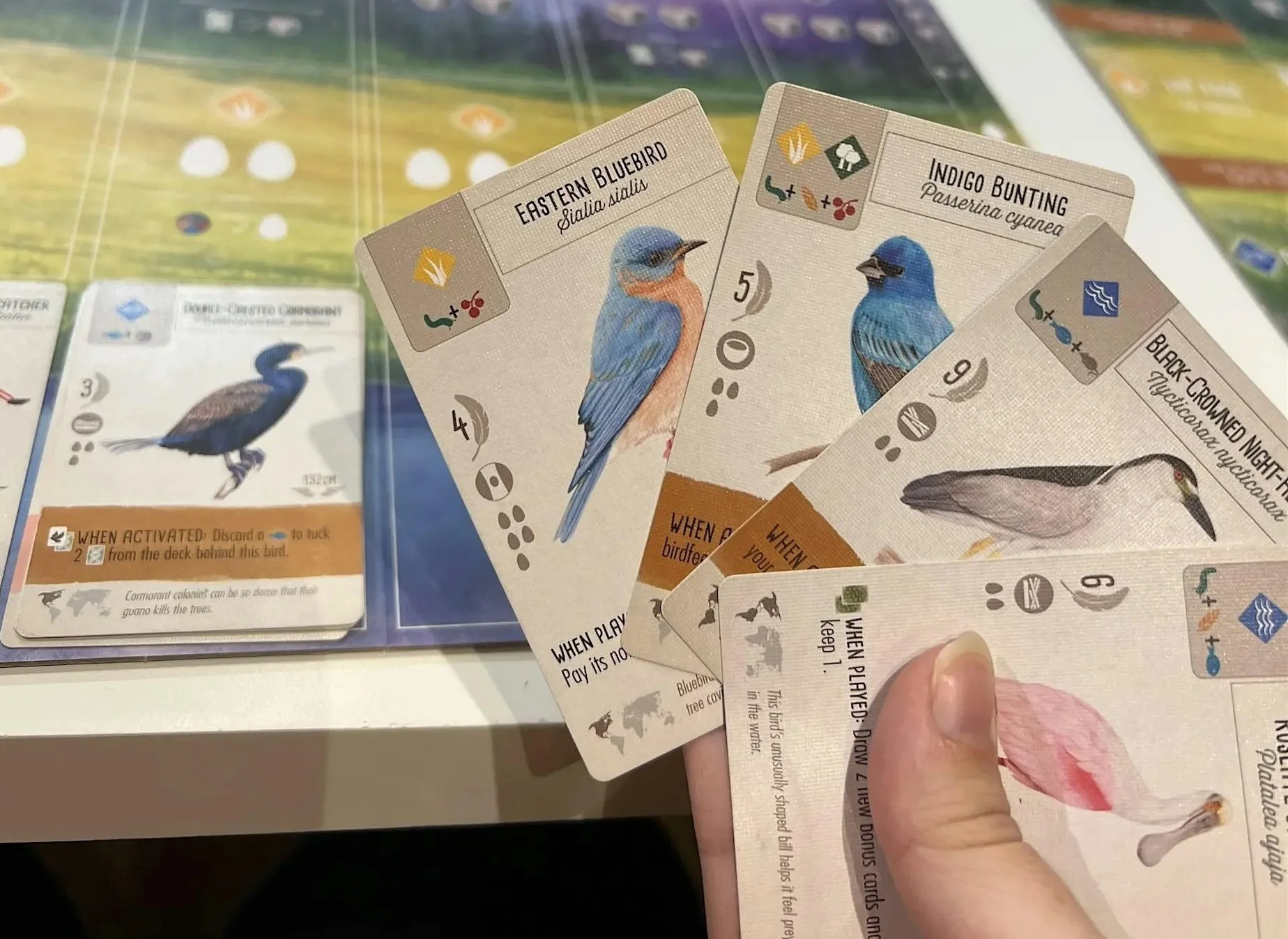 Wingspan Game Night with NOVA Parks: Asia Expansion