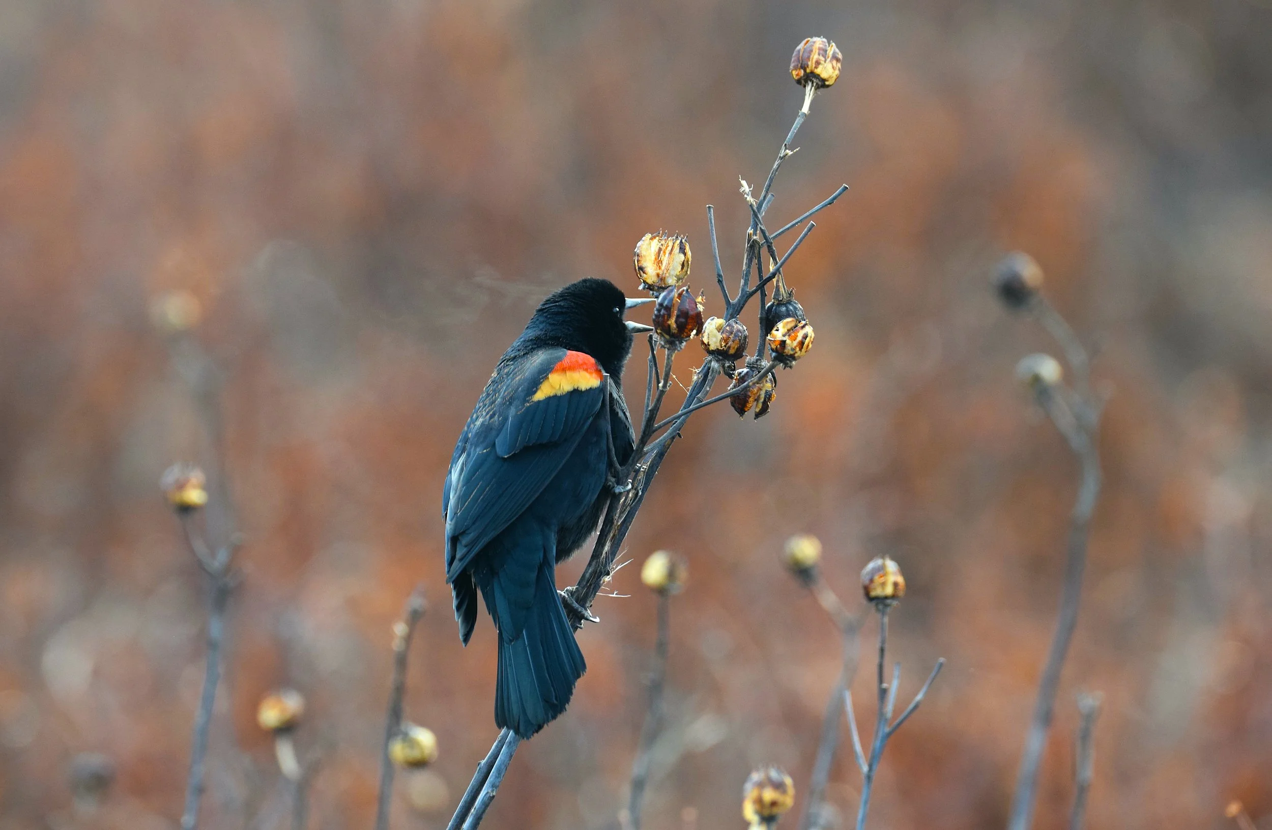 Letter to Our Members: Spring Renewal - A Call to Action for All of Us