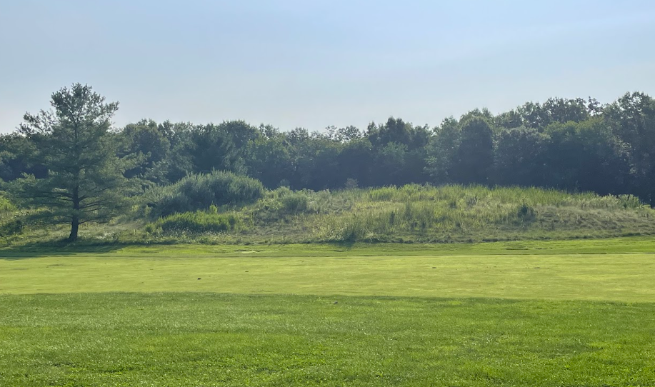 Golfing with Purple Martins and Bluebirds