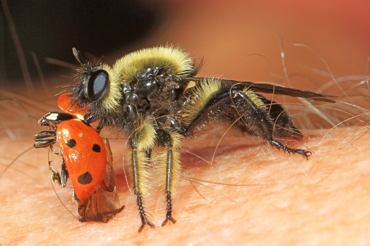 A Closer Look: Nature All Around Us, March 2026