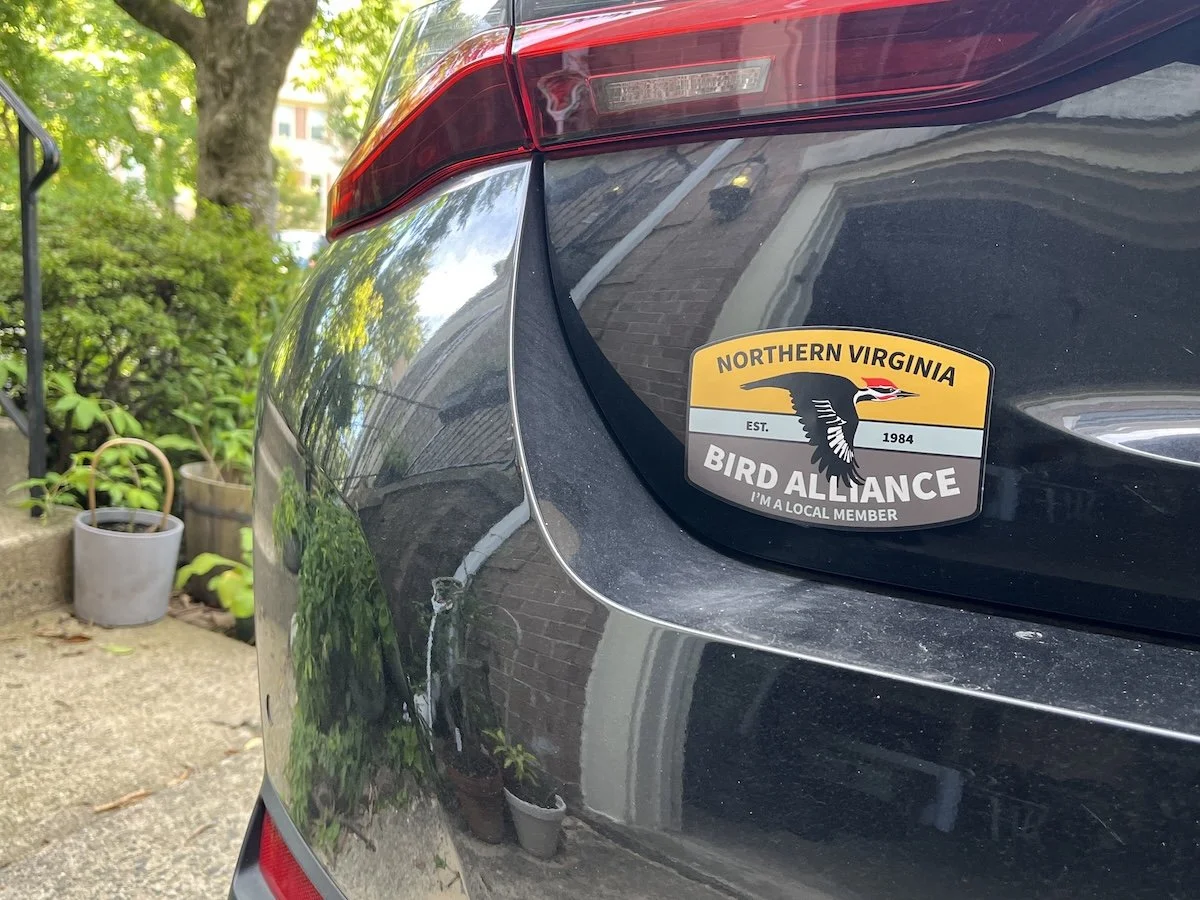 car-magnet.jpeg