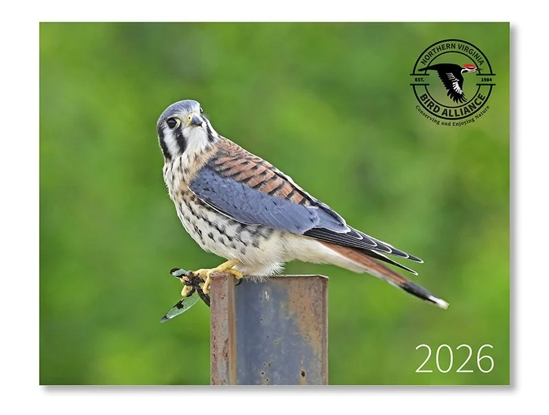2026-calendar-cover-cropped.jpg