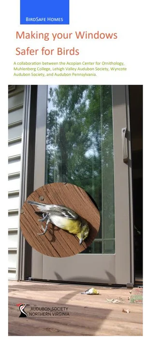 Making Your Windows Safer for Birds (4 Fold) — Northern Virginia Bird ...