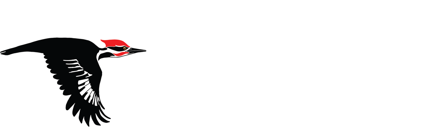 Northern Virginia Bird Alliance