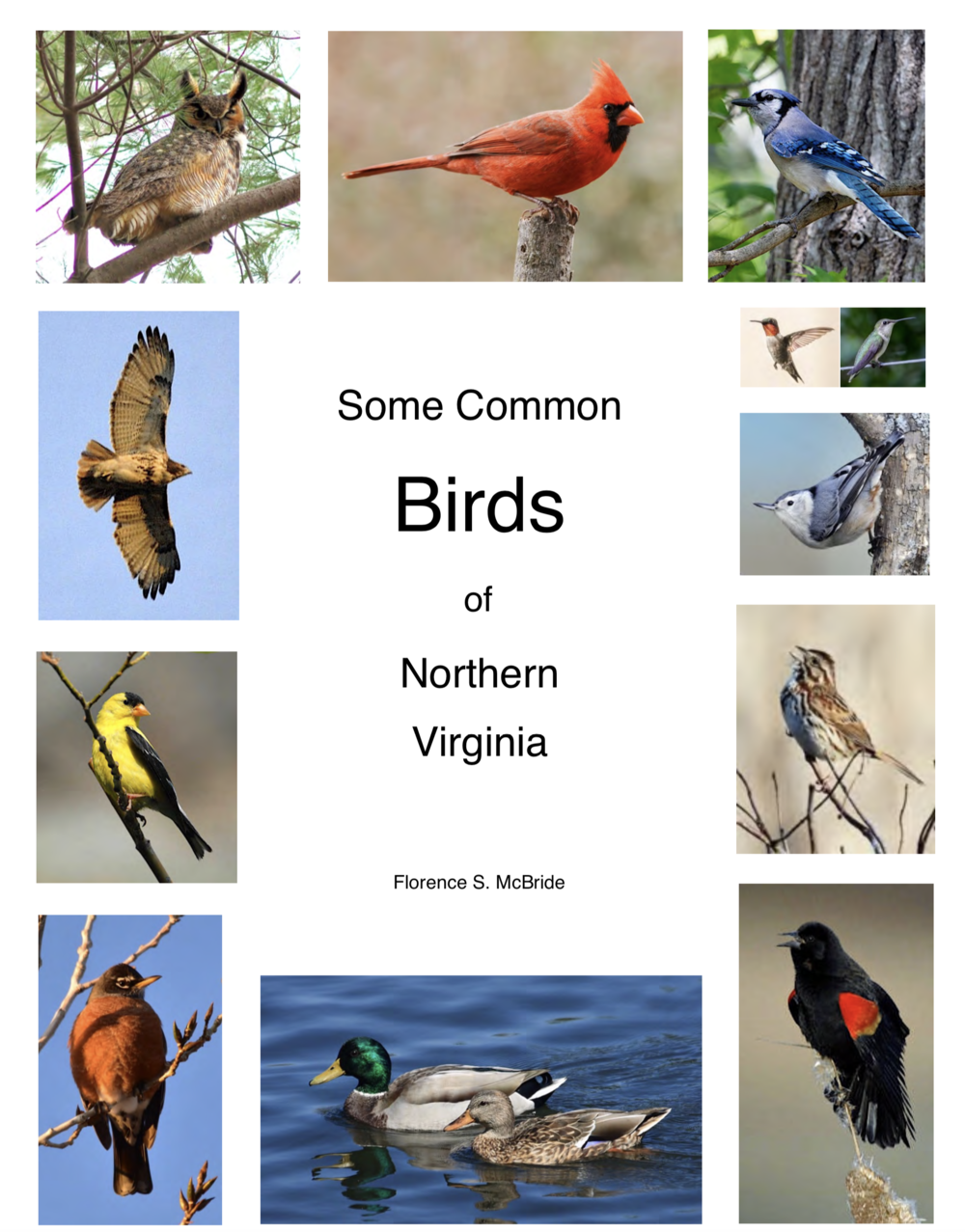 New book on The Birds of Northern Virginia for Beginning Birders and  Educators — Audubon Society of Northern Virginia