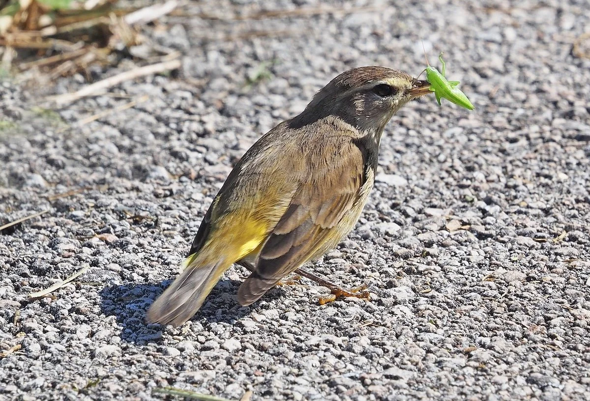 A Closer Look: Nature All Around Us, April 2026